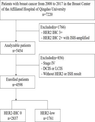 Clinicopathological characteristics and prognosis of early-stage HER2 low-expression breast cancer: A single-center retrospective study